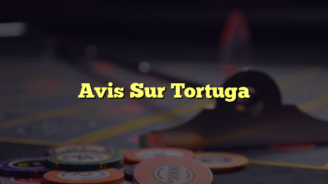 Avis Sur Tortuga
